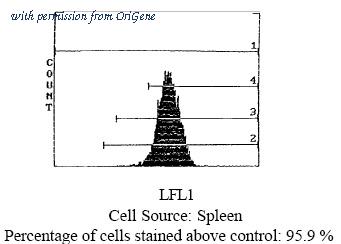 OriGene CL129P image 1