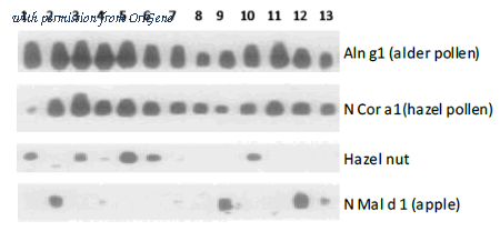 OriGene DDX0050P-100 image 1