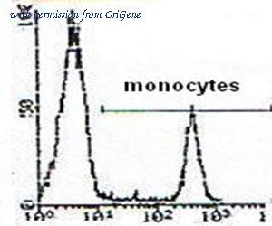 OriGene DDX0100P-100 image 1