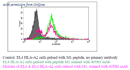 OriGene DDX0270A488-100 image 1