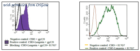 OriGene DDX0377P-100 image 1