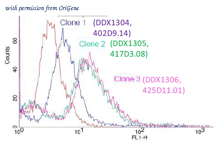 OriGene DDX1305A647-100 image 1