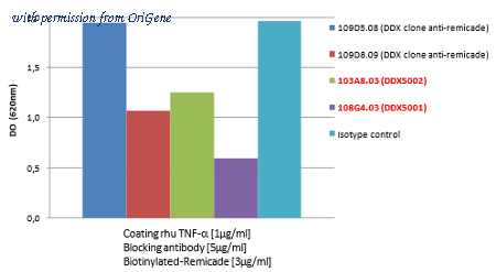 OriGene DDX5001B-100 image 1