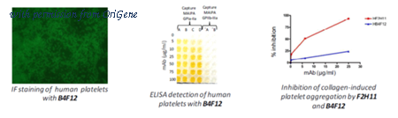 OriGene DDX9022A488-100 image 1