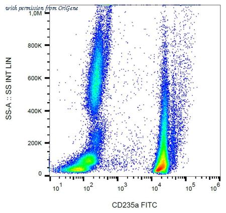 OriGene DM066F image 1