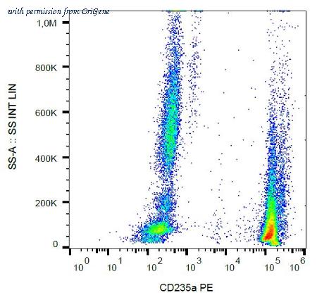 OriGene DM066R image 1