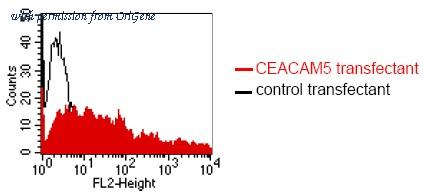 OriGene DM1203 image 1