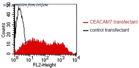 OriGene DM1207 image 1