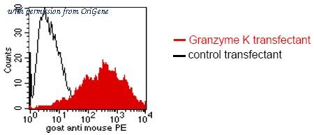 OriGene DM1213 image 1