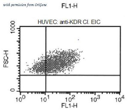 OriGene DM3502B image 1