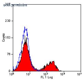 OriGene SM003PS image 1
