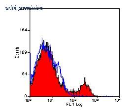OriGene SM005PS image 1