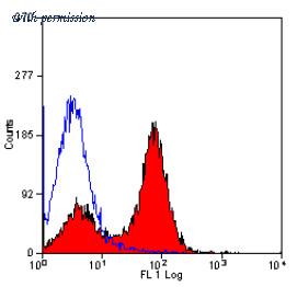 OriGene SM008LE image 1