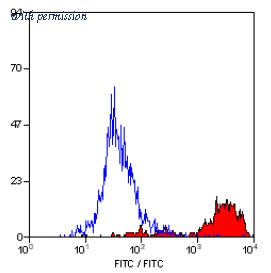 OriGene SM014F image 1