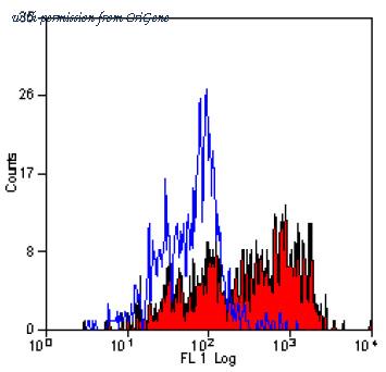OriGene SM029LE image 1