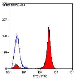 OriGene SM032F image 1