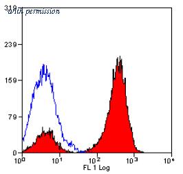OriGene SM032P image 1