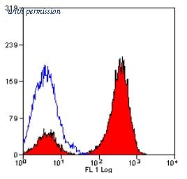 OriGene SM032PT image 1