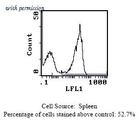 OriGene SM034A image 1