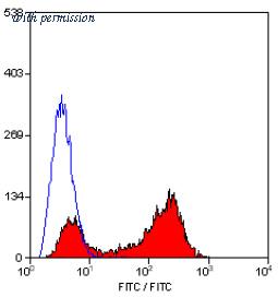 OriGene SM034F image 1
