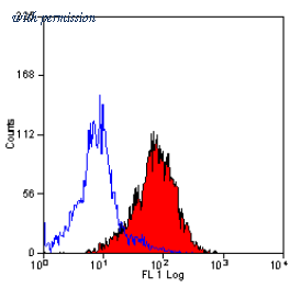 OriGene SM037P image 1