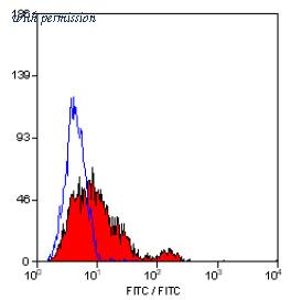 OriGene SM038PT image 1