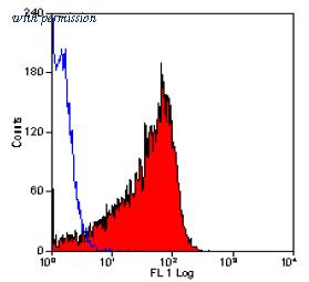 OriGene SM049LE image 1