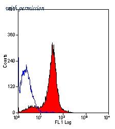 OriGene SM049PT image 1