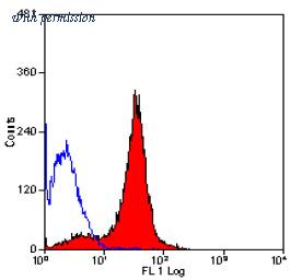 OriGene SM049PX image 1