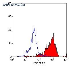 OriGene SM065F image 1