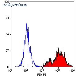 OriGene SM065R image 1