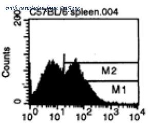 OriGene SM080FS image 1