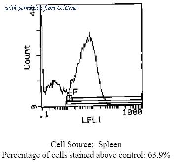 OriGene SM083B image 1