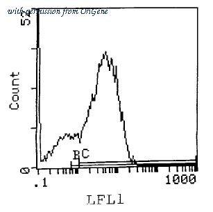 OriGene SM083FS image 1