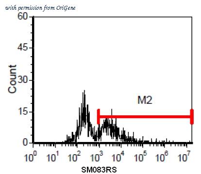 OriGene SM083RS image 1