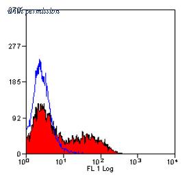 OriGene SM084PX image 1