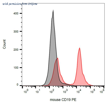 OriGene SM1050LE image 1