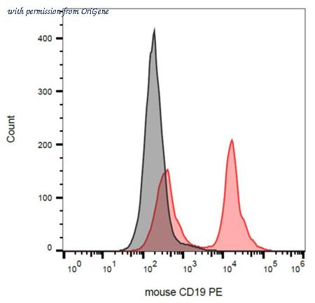 OriGene SM1050PE image 1