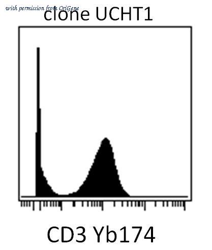OriGene SM1057AF image 1