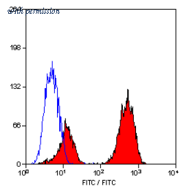 OriGene SM1057P image 1