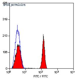 OriGene SM1058F image 1