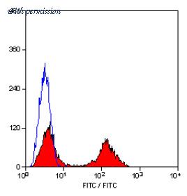 OriGene SM1062F image 1