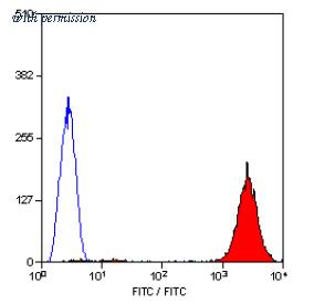 OriGene SM1065FT image 1