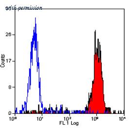 OriGene SM1066PT image 1