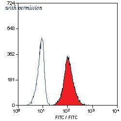 OriGene SM1068P image 1