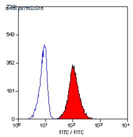 OriGene SM1068PS image 1