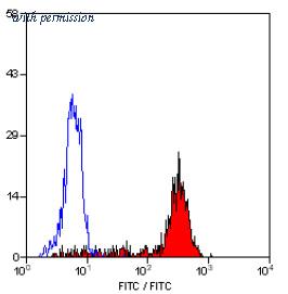 OriGene SM1071F image 1