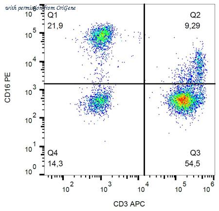 OriGene SM1072R image 1