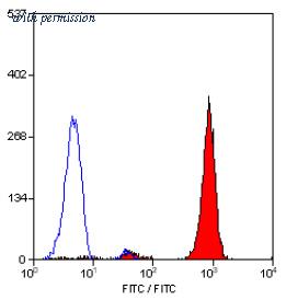 OriGene SM1073F image 1