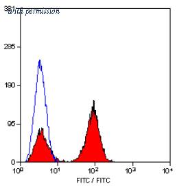 OriGene SM1074B image 1